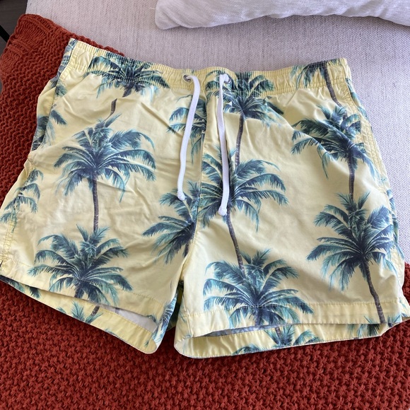 PacSun Swimtrunks - Picture 1 of 3